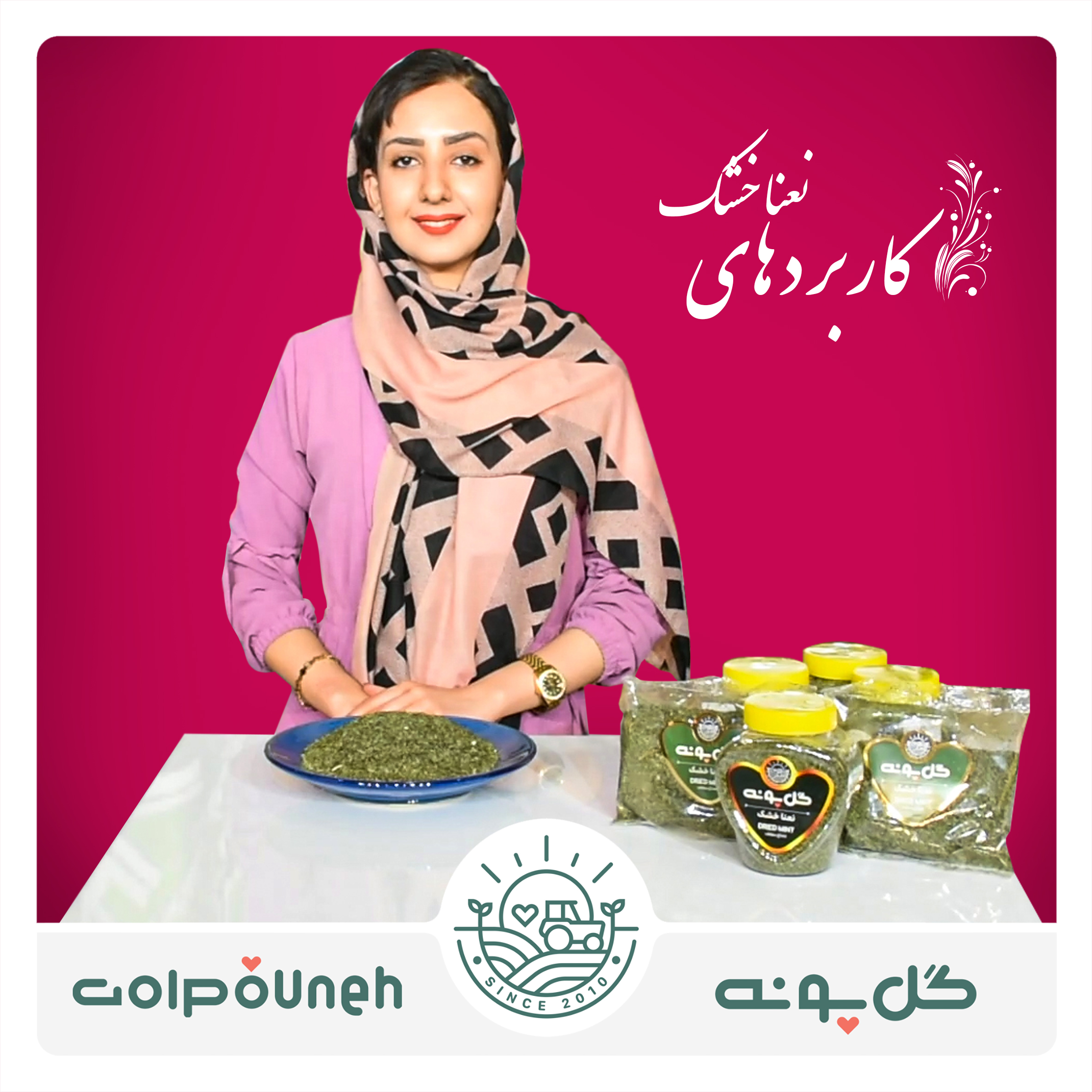 معرفی نعنا خشک