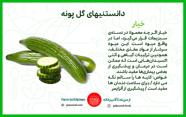خیار