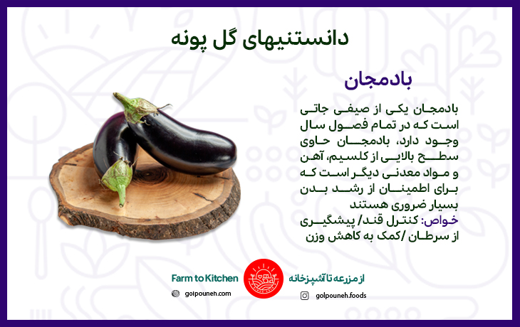 بادمجان 