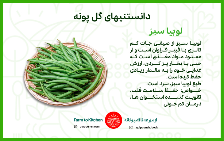 لوبیا سبز