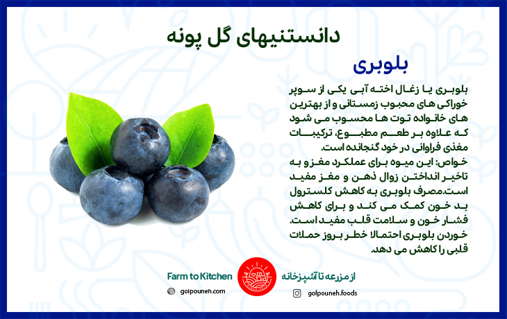 بلوبری 