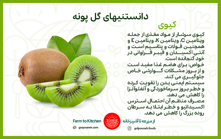 کیوی 