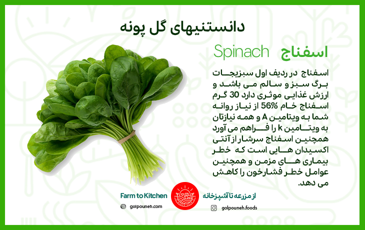 اسفناج