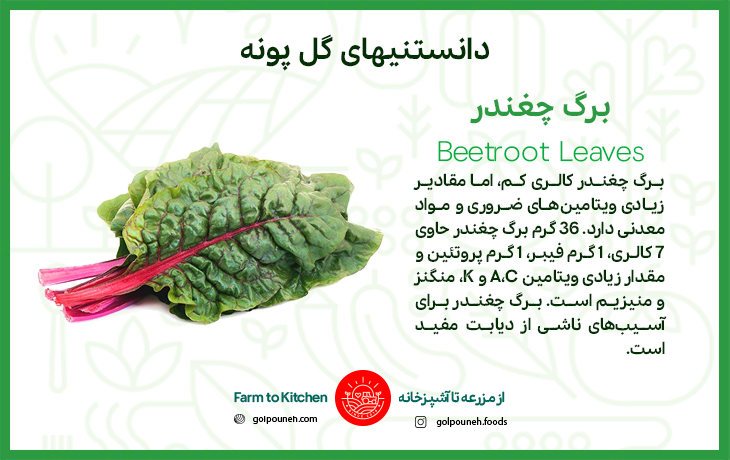 برگ چغندر 