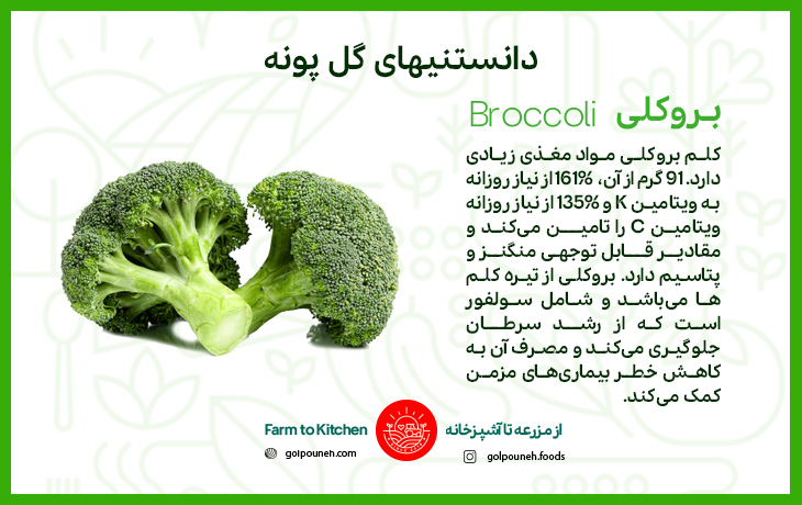 بروکلی