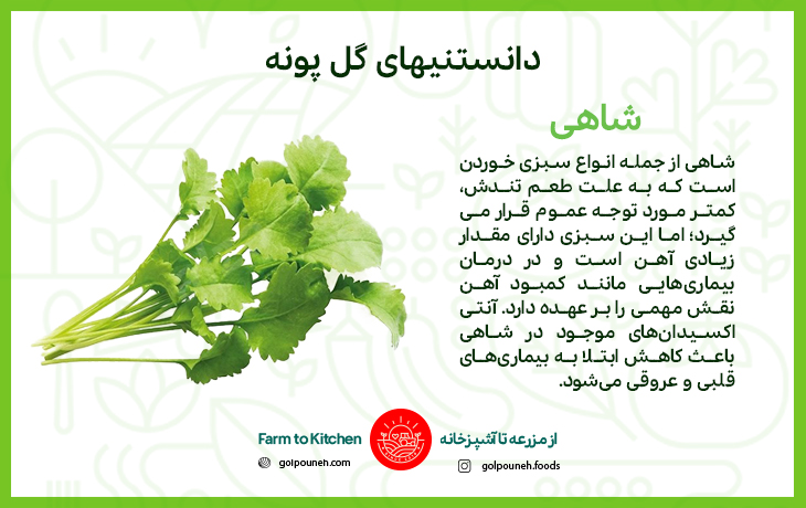 شاهی 