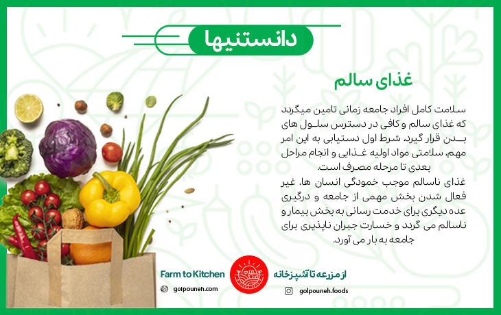 غذای سالم 