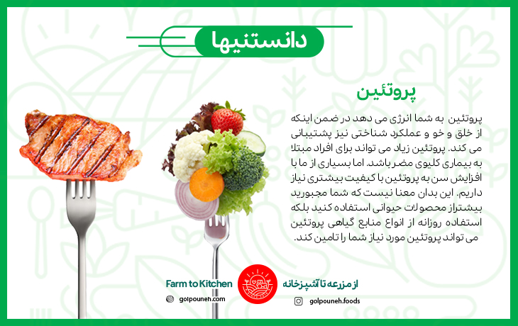 پروتئین