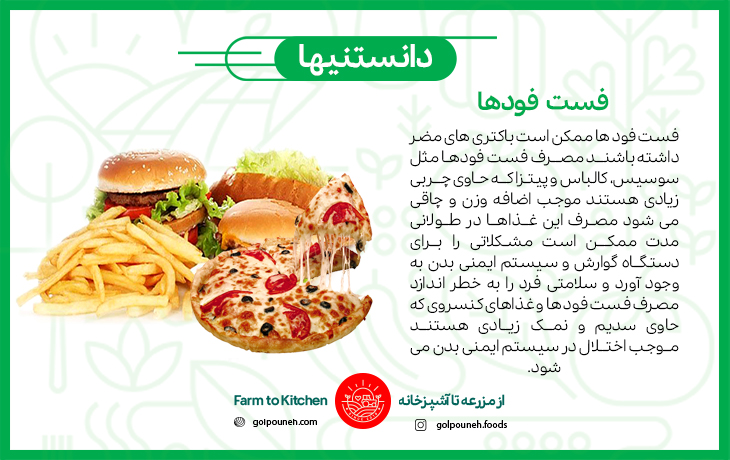 فست فودها 
