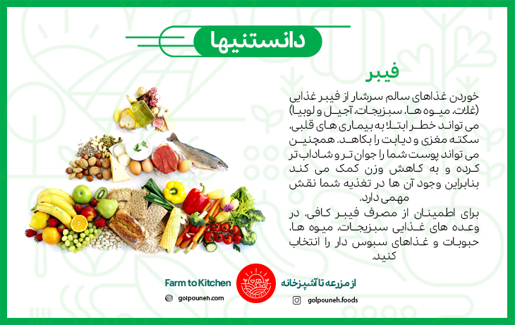 فیبر