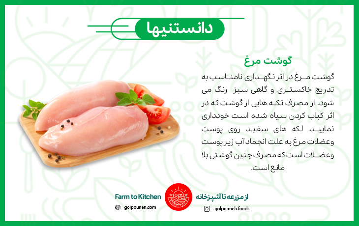 گوشت مرغ