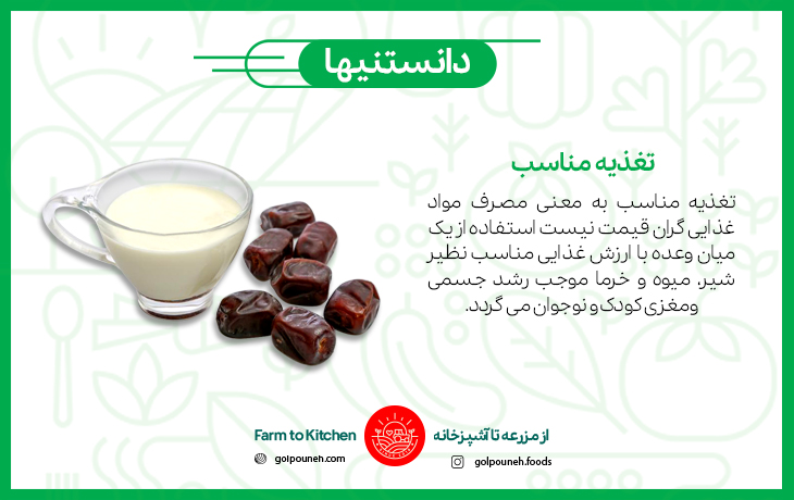 تغذیه مناسب 