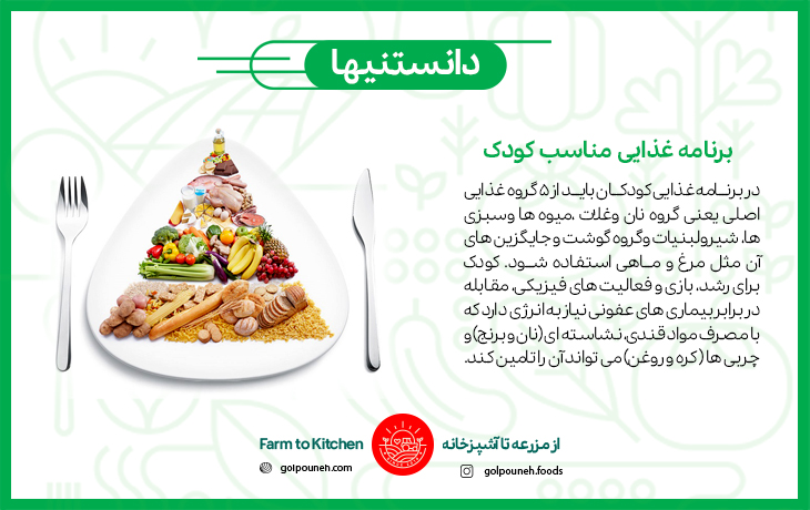 برنامه غذایی