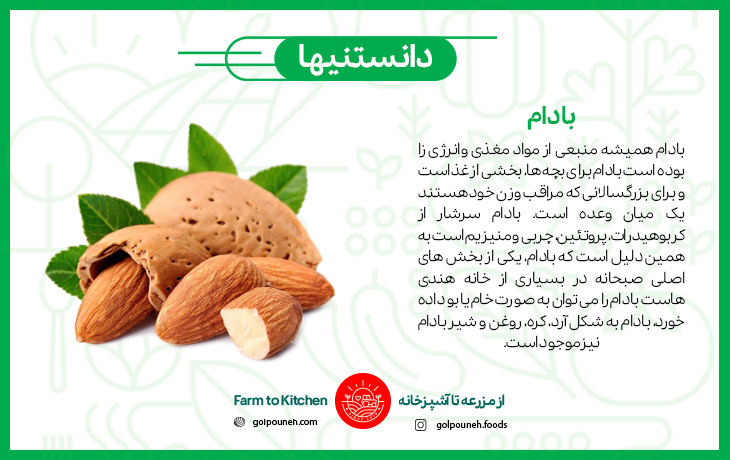 بادام