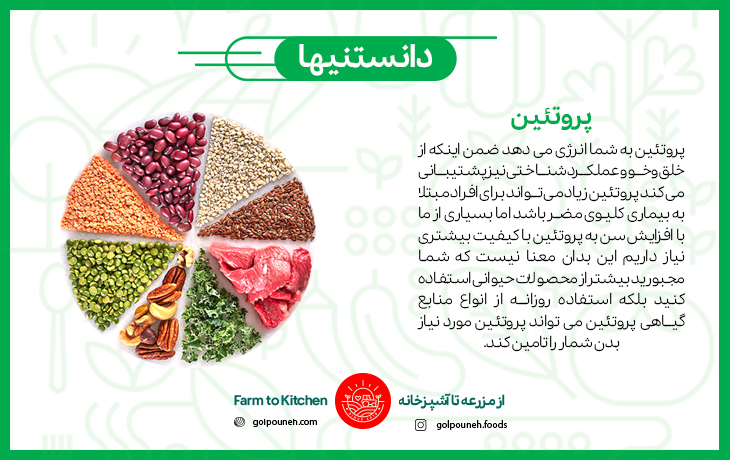 پروتئین 