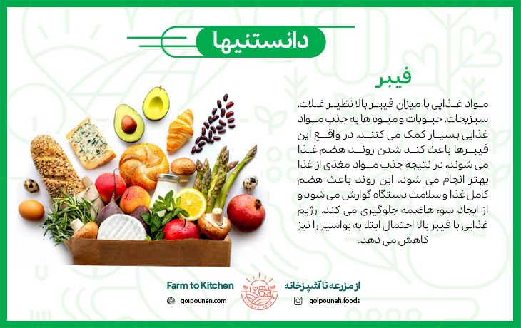 فیبر 